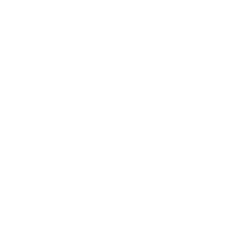 Haus.gif (3424 Byte)