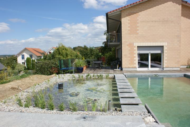 piscine naturelle