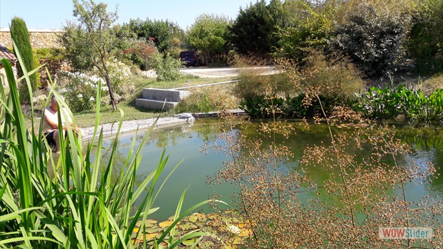 Schwimmteich