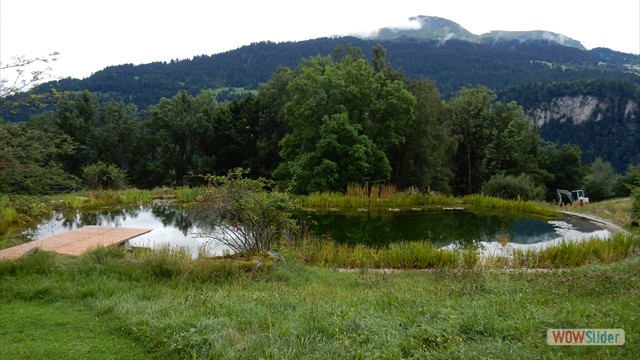 Schwimmteich gross