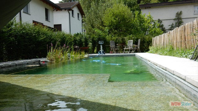 Naturpool