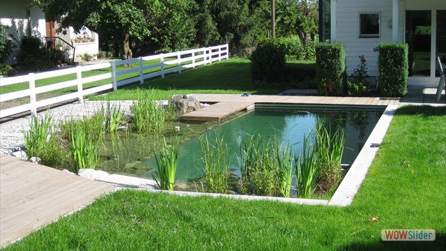 kleiner Schwimmteich