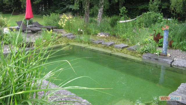Schwimmteich
