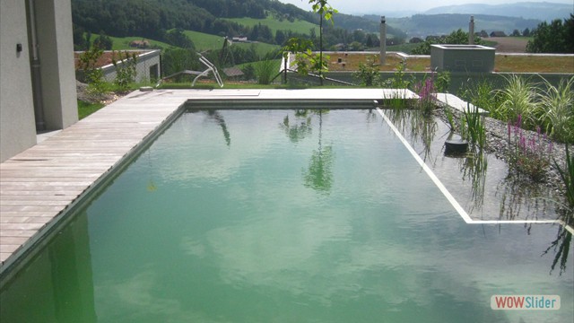 Naturpool
