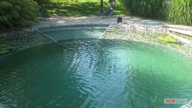 Naturpool klein