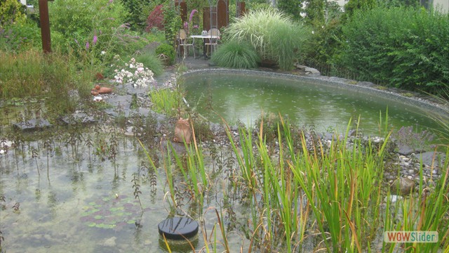 Schwimmteich