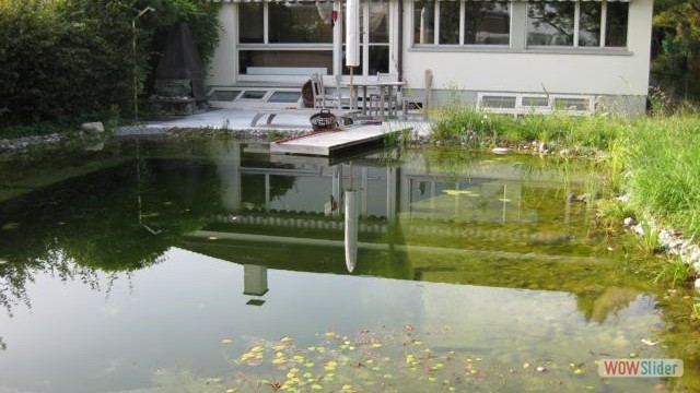 Schwimmteich