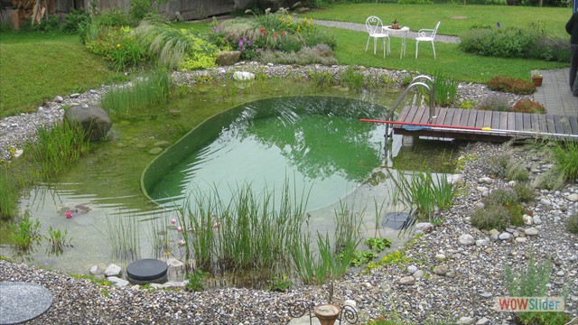 Schwimmteich g