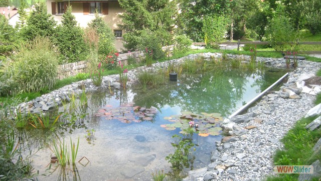 Schwimmteich h