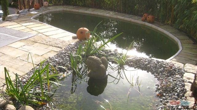 Schwimmteich klein 3