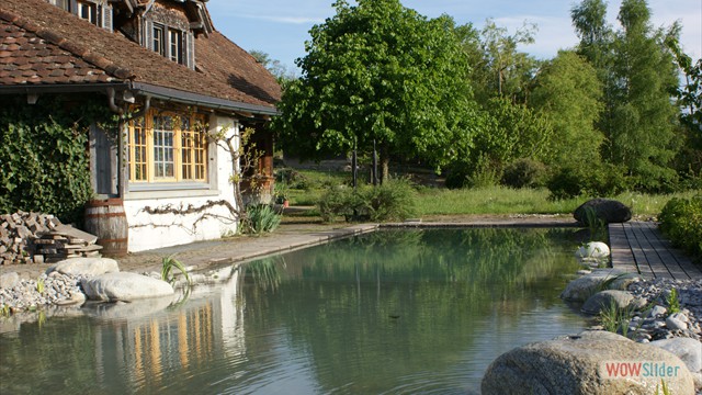Schwimmteich umgebaut 
